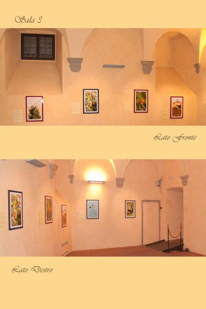 SALA 3 - MAEC